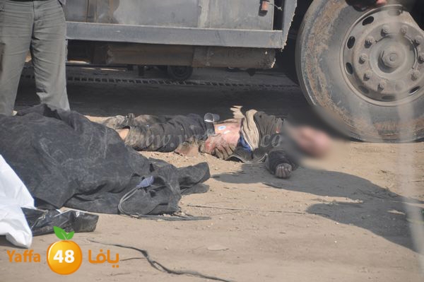 3amel acc 0105 (3).JPG